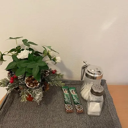 Studio Piata Amzei Nr.1 Apartment Bucharest